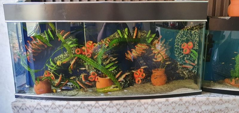akvarium kamplek