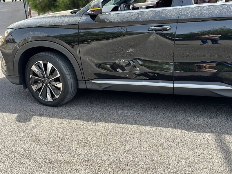 Byd chempion 2025 Byd chempion 2025
