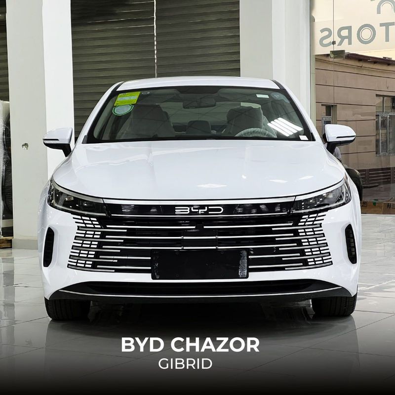 Byd chazor 101km