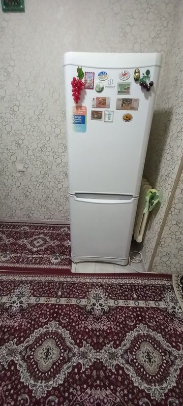 Yangi usto kurmagan