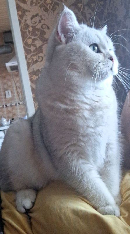Vyaska xizmati Namangan vodiy Vyaska xizmati Namangan vodiy