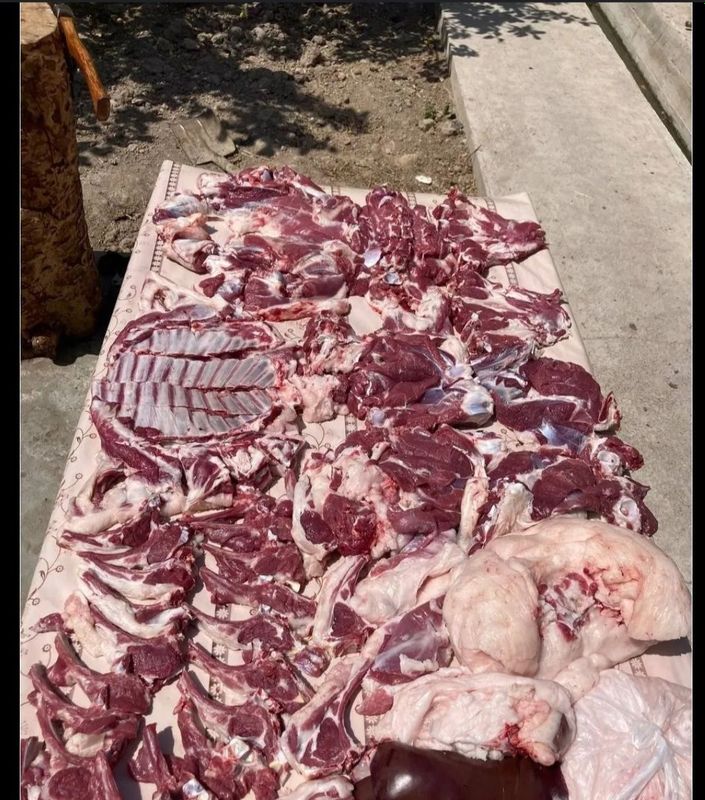 Qassop hizmati estalgan turdagi hayvonlarni soyip va maydalab beriladi Qassop hizmati estalgan turdagi hayvonlarni soyip va maydalab beriladi