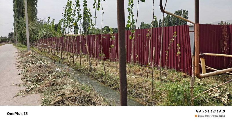 20 avgustgacha 245 mln Ohangaron tumanida 445 m2 bino 48 sotok