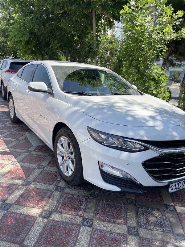 Chevrotel Malibu 2.4 Chevrotel Malibu 2.4