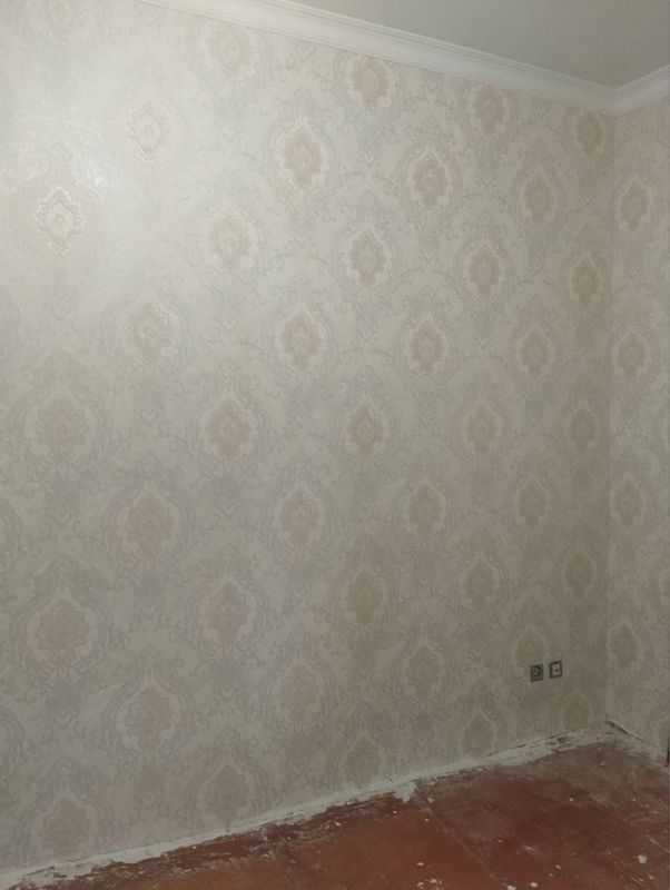 Boshliq бошлик башлык 1в2/3/5 Boshliq бошлик башлык 1в2/3/5