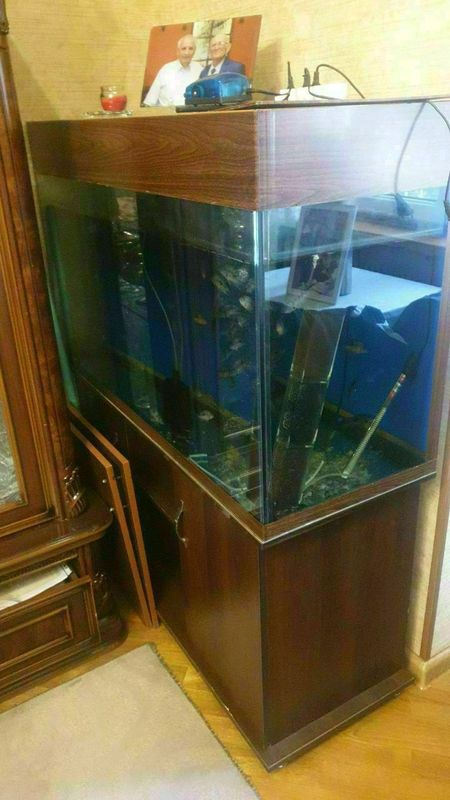продам аквариум 380 лит.Обогреватель,свет,фильтр. продам аквариум 380 лит.Обогреватель,свет,фильтр.