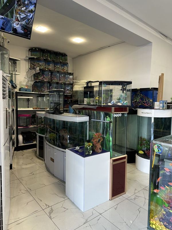 Akvarium Magazin Toshkent Akvarium Magazin Toshkent
