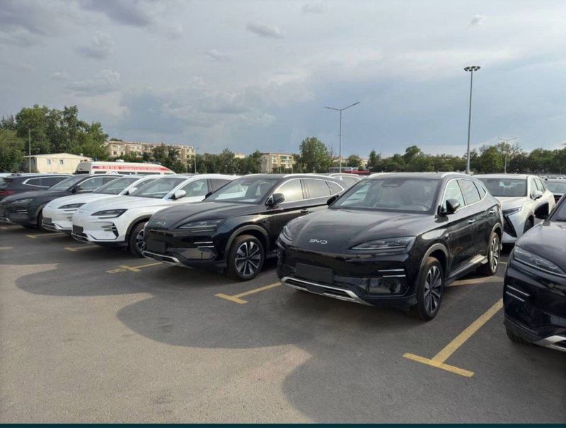 Byd CHempion Smart 2025 Byd CHempion Smart 2025