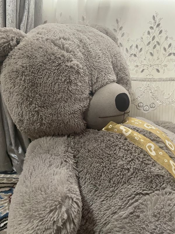 Ulkan Teddy:kulrang,bo’yi:140-150 sm,holati:yangi Ulkan Teddy:kulrang,bo’yi:140-150 sm,holati:yangi