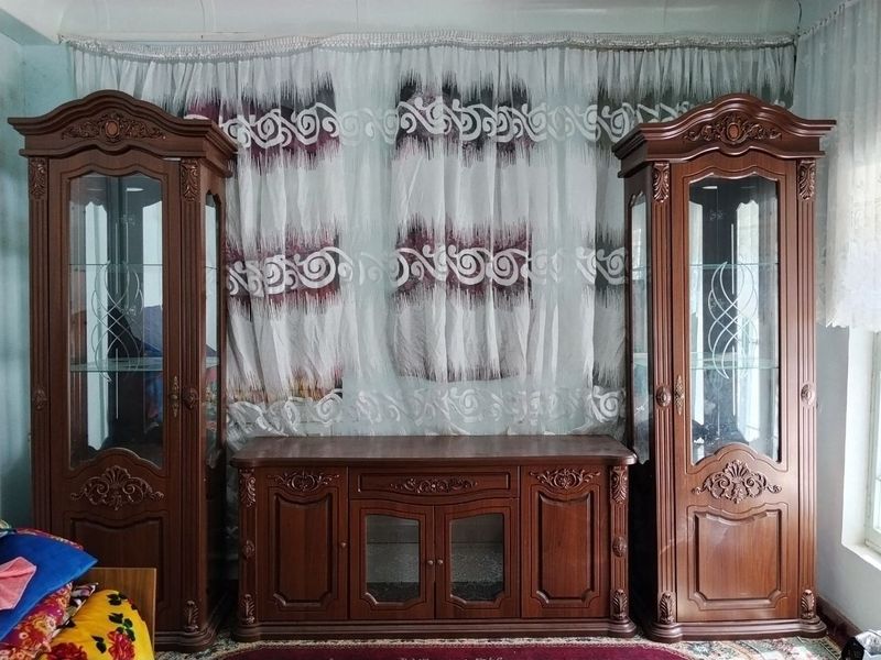 MEBIL pinal xolati zor arginal