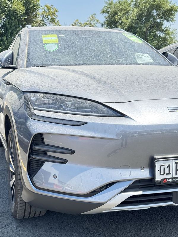 Byd chempion 605 zapas natariusli