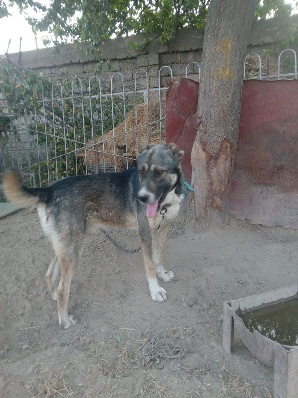 5 oylik narxi 1.5. milyon