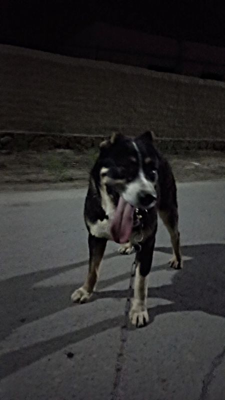 Zoti alabay menzil buxoro