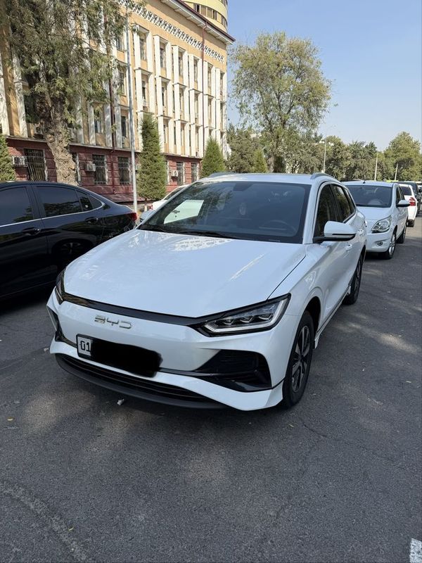 Byd e2 Luxury 405 km