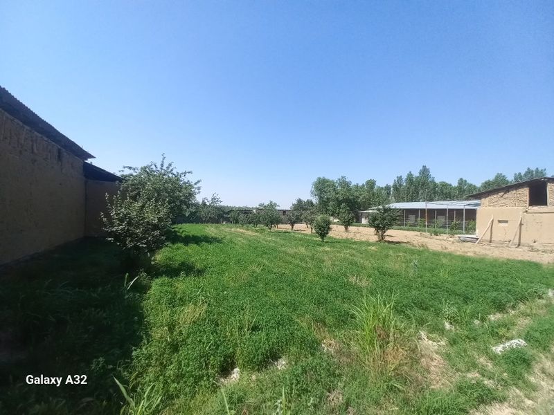Yer sotiladi Nazarbek Ittifoq sotihi 9900dan Yer sotiladi Nazarbek Ittifoq sotihi 9900dan
