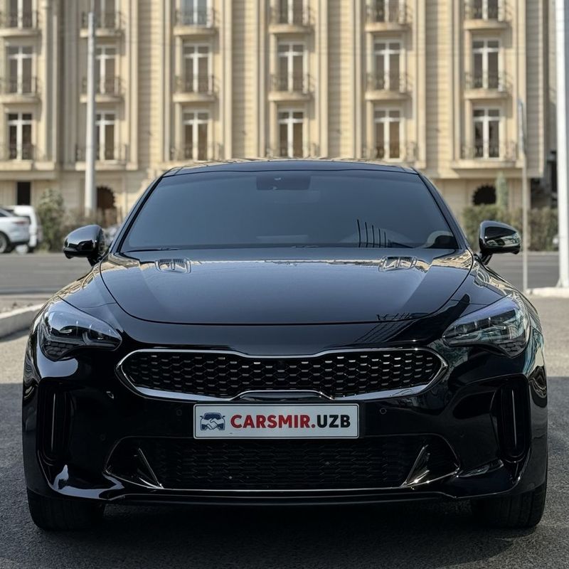 Kia Stinger Gt +navarot