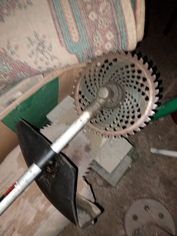 Kaselka zur holati Kaselka zur holati