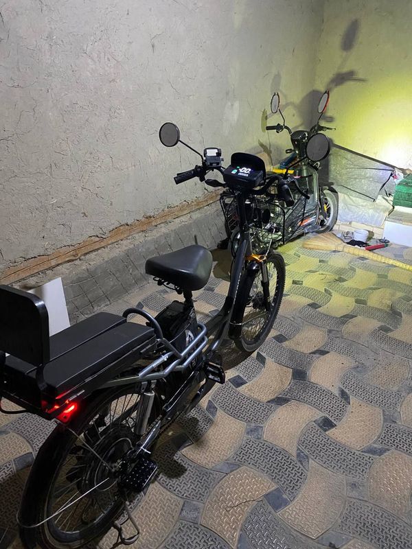 velik sotiladi narxi 3 500 000 ming