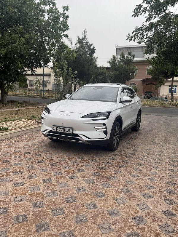 BYD Champion 605km 2024