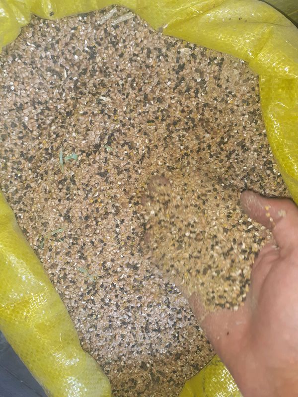 sechka sotiladi 1 tonnaga 2800 sechka sotiladi 1 tonnaga 2800