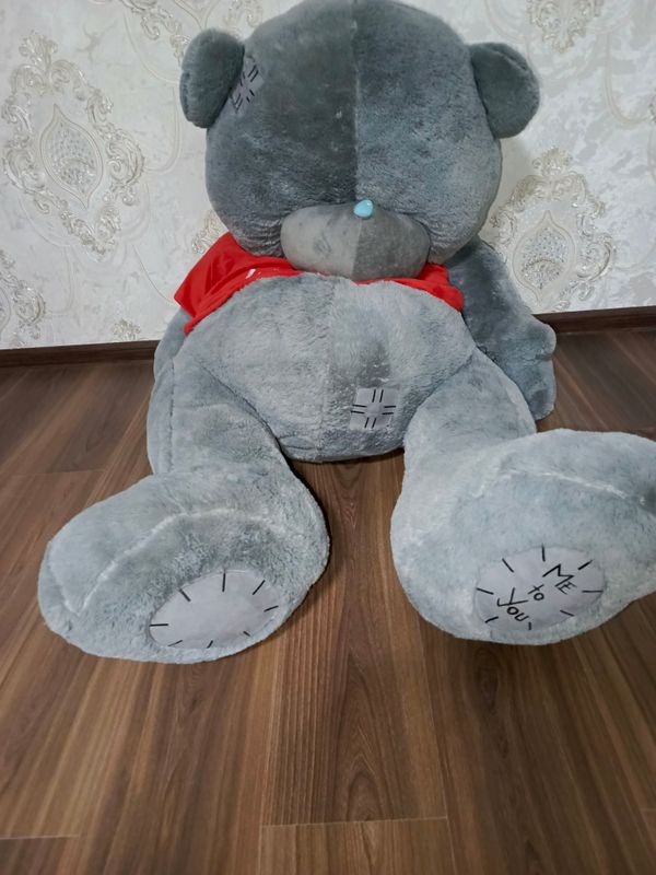 Teddy bear Teddy bear