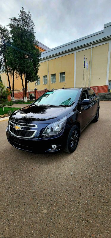 Cobalt midnight 2025 Cobalt midnight 2025