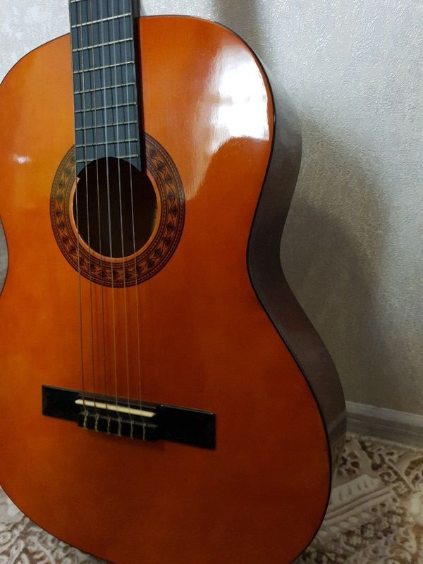 Бельгийская классическая гитара Бельгийская классическая гитара
