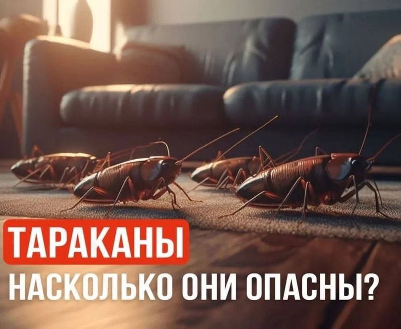 Dezinfeksya klapa VA tarakan