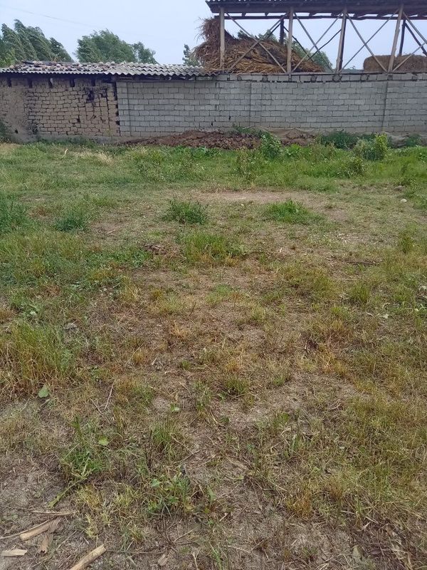 Арзон народа йер сотилмокта
