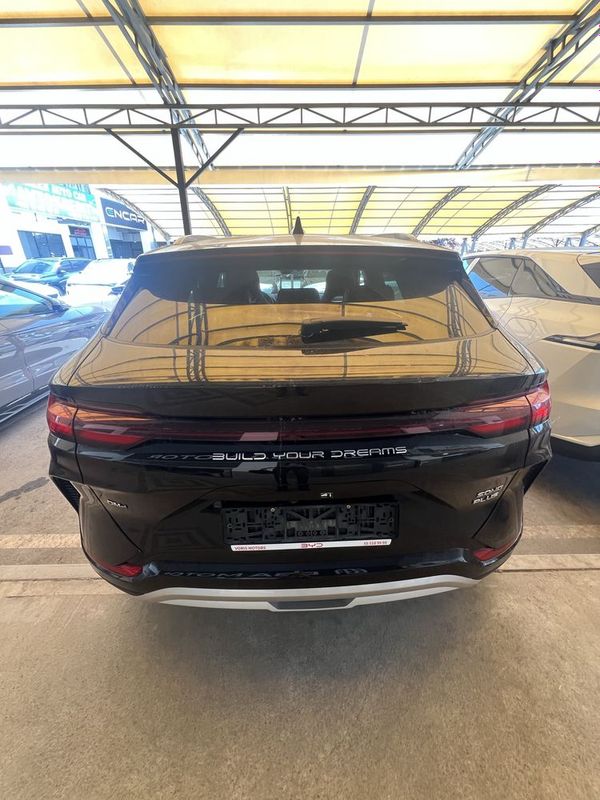 Byd chempion narda grey 2024/2024 Byd chempion narda grey 2024/2024