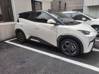 BYD Seagull naxtga va nasiyaga BYD Seagull naxtga va nasiyaga