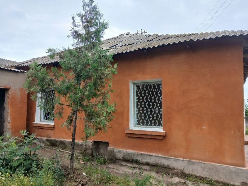 Narhi kelishamiza Narhi kelishamiza