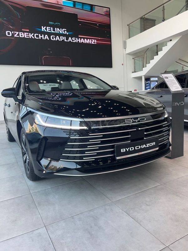 Byd Chazor 2025 masla