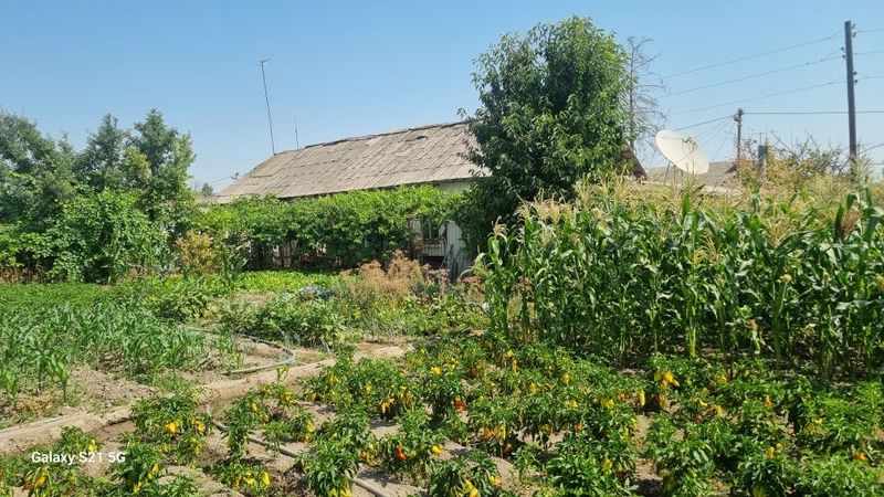 Продаётся дом с участком в уртачирчикском районе, не далеко от центра. Продаётся дом с участком в уртачирчикском районе, не далеко от центра.