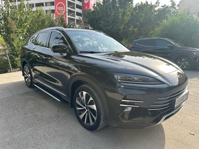 Byd champion gybrit Byd champion gybrit