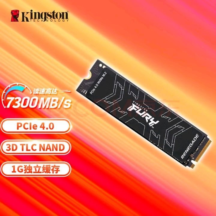 Kingston SSD 1TB