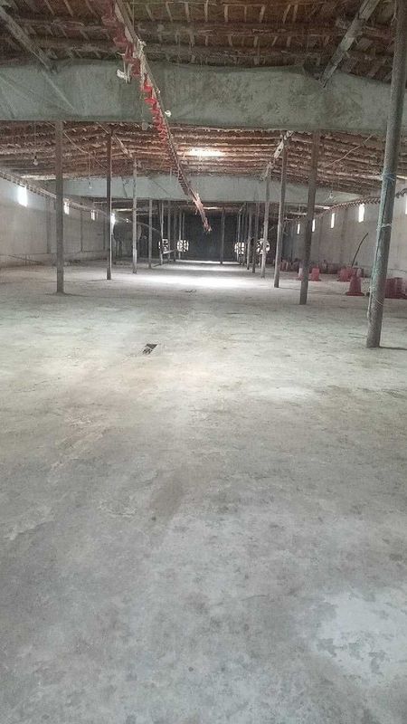 Tovuq fabrika sotiladi Tovuq fabrika sotiladi