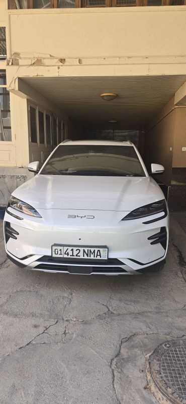 Byd champion flagship rangi oq