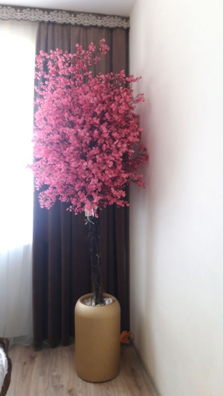 Suniy Sakura dekarativni daraxti