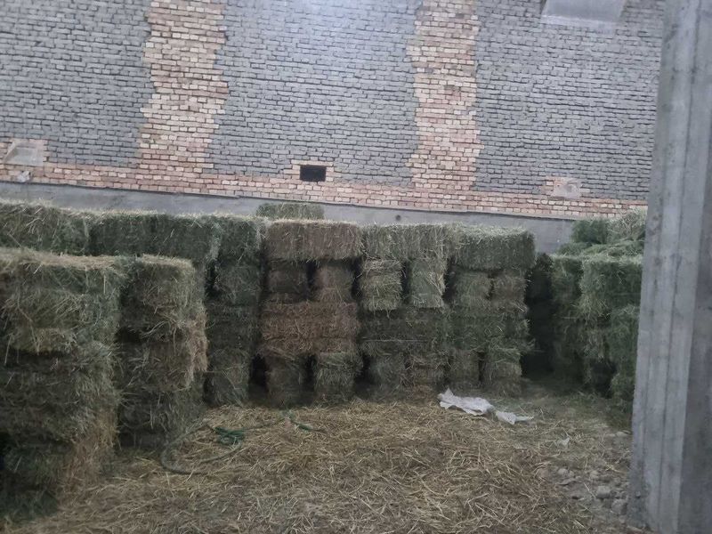 Сомон сотилади 35000 Сомон сотилади 35000
