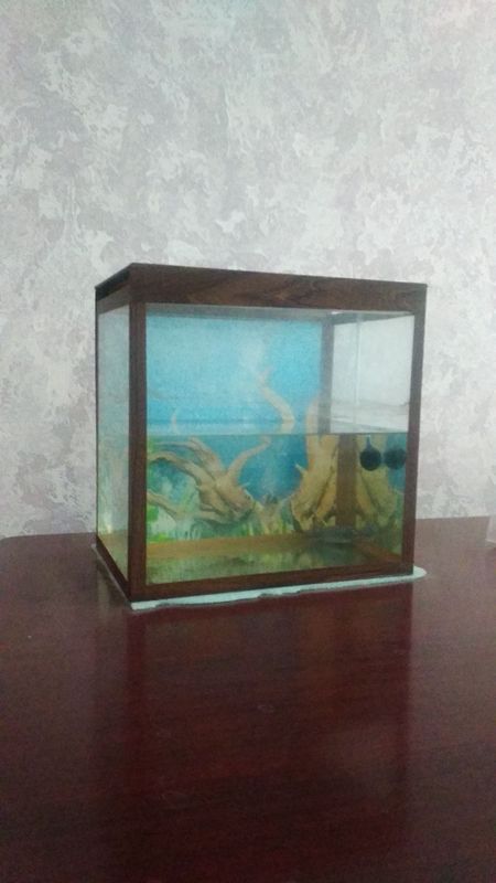 Akvarium sotiladi