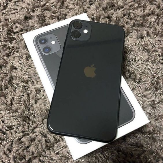 Iphone 11 Iphone 11
