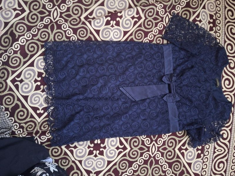 Кок койлек летний