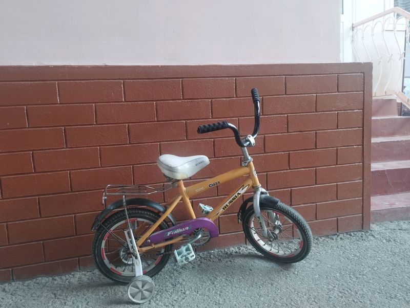 боллар велиги