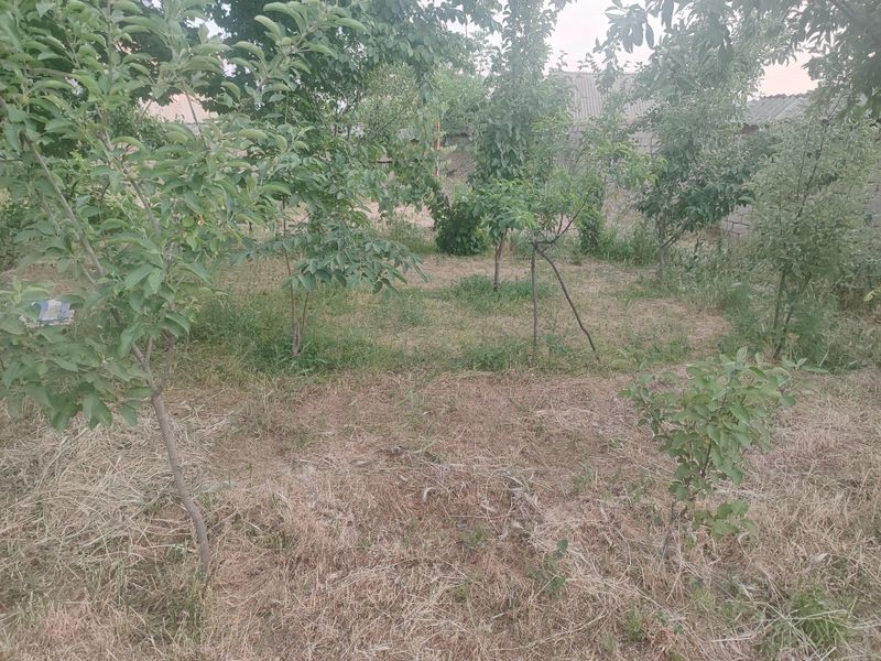 Quruq yer sotiladi uyii yarim qismi yoki 2sotik sotiladi Quruq yer sotiladi uyii yarim qismi yoki 2sotik sotiladi