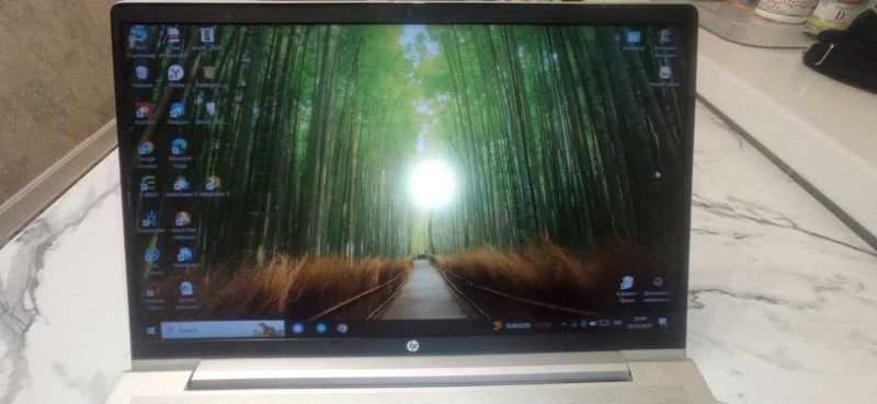 Ноутбук HP Probook