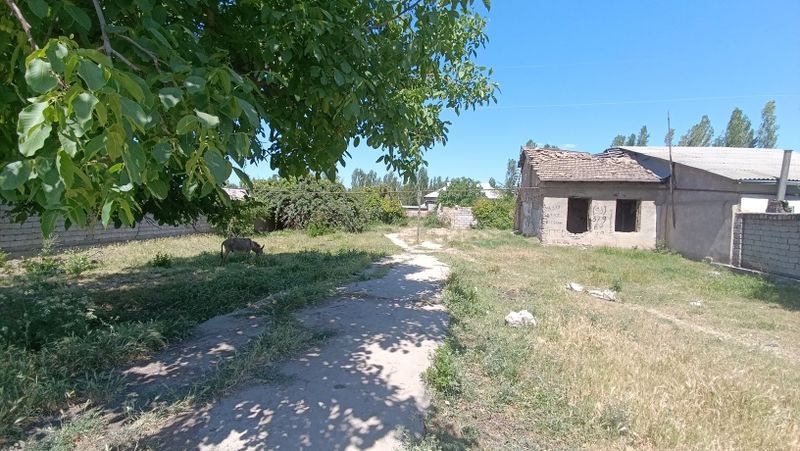 13соток+3соток захват,1хона,Куйлик бозордан 10км,5 коллектор, Авангард 13соток+3соток захват,1хона,Куйлик бозордан 10км,5 коллектор, Авангард