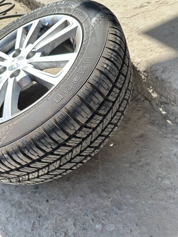 R15 kobilt diska balon