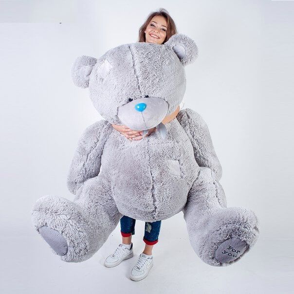 Teddy bear, Теди Мишка, Tediy Ayiq Teddy bear, Теди Мишка, Tediy Ayiq