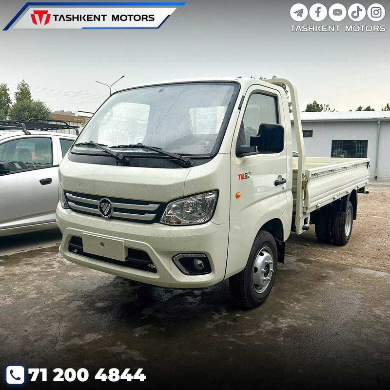 Foton Truck Mate